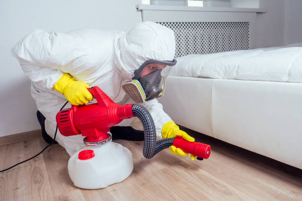 Best Pest Control for Warehouses  in Mead Valley, CA